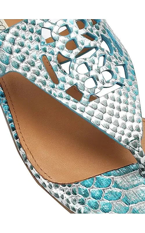 Blue Snake Textured Logo Sliders