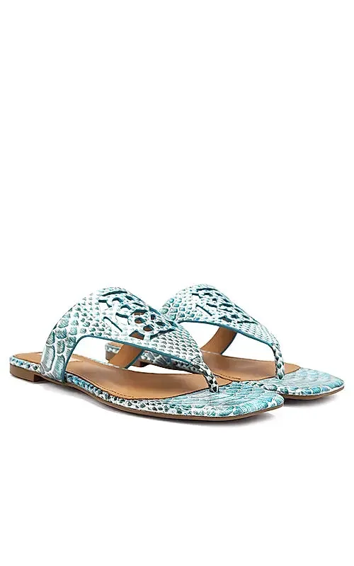 Blue Snake Textured Logo Sliders