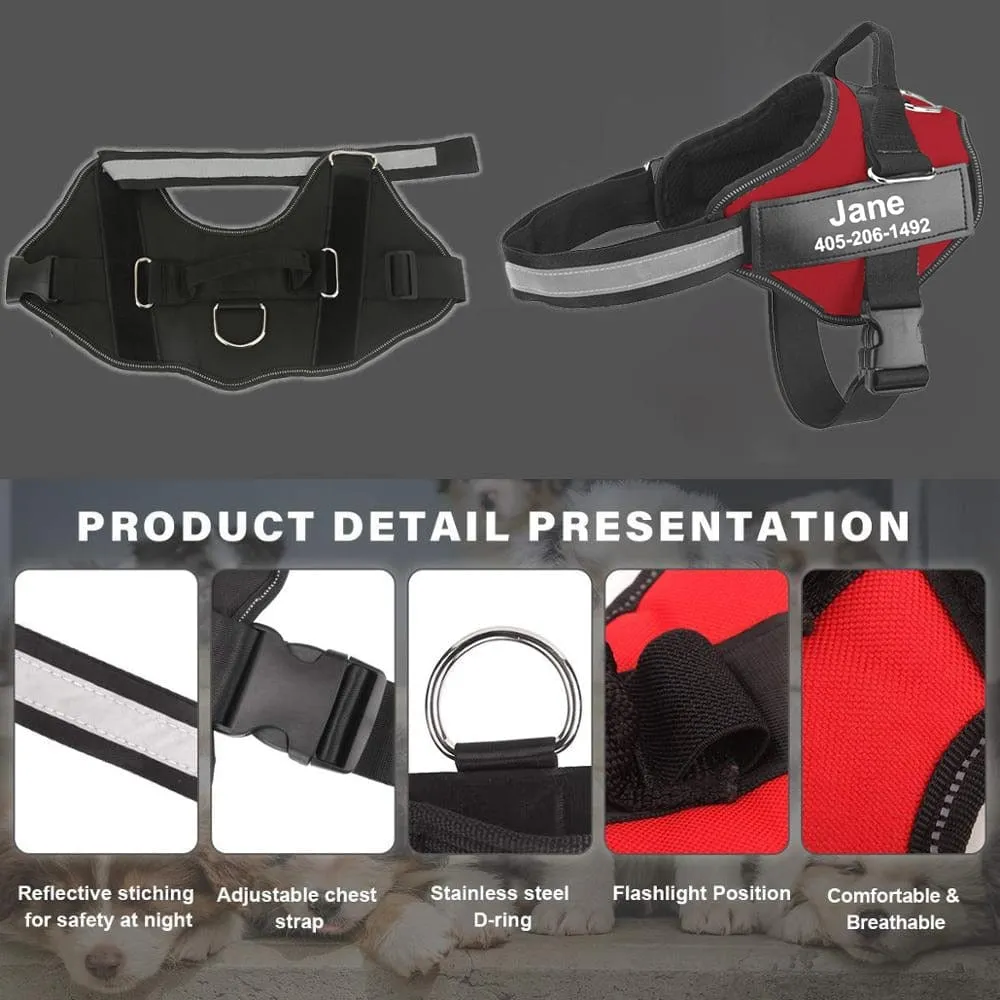 No Pull Personalised Harness