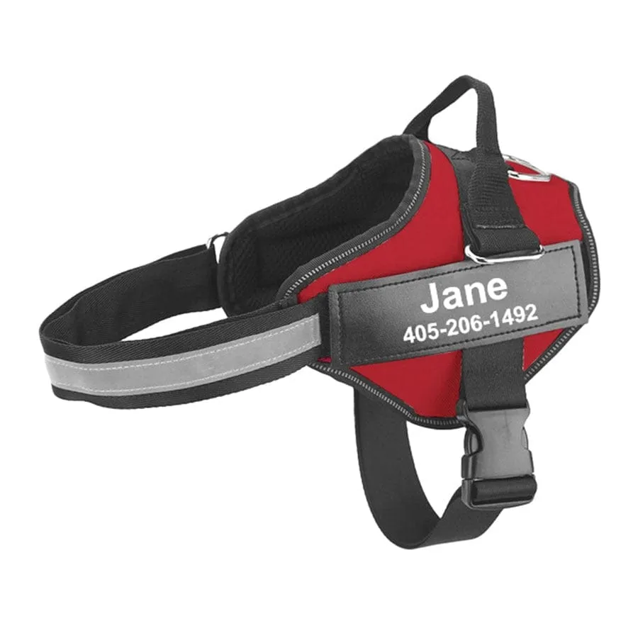 No Pull Personalised Harness
