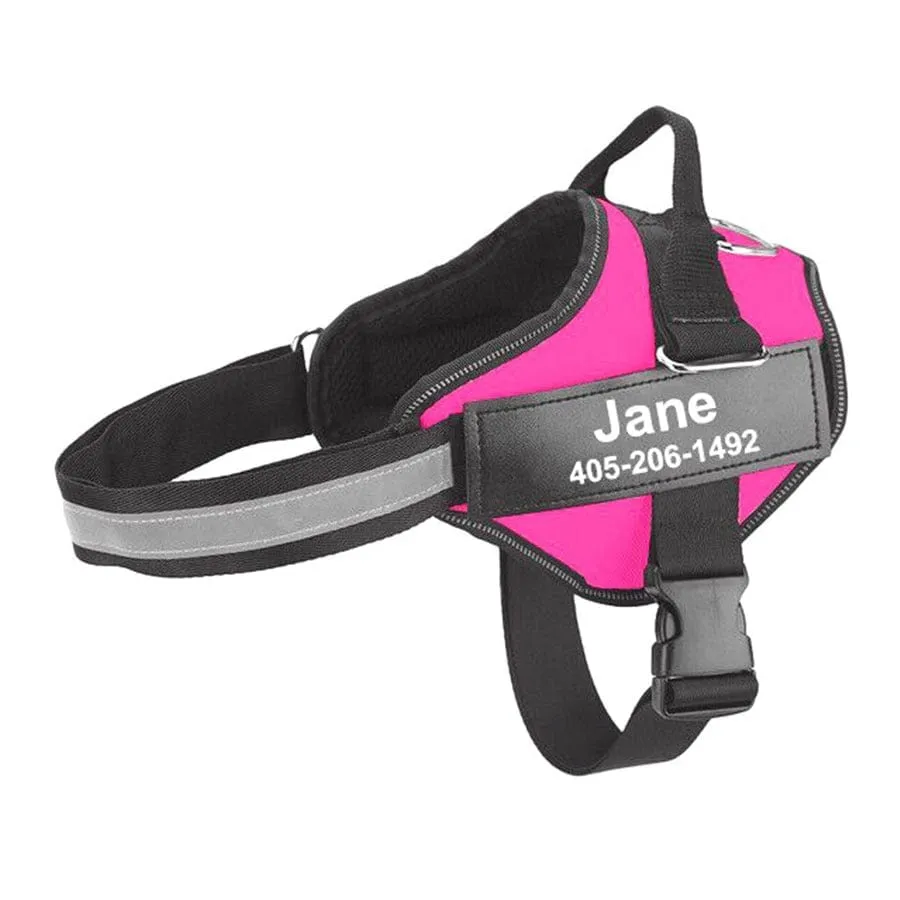 No Pull Personalised Harness