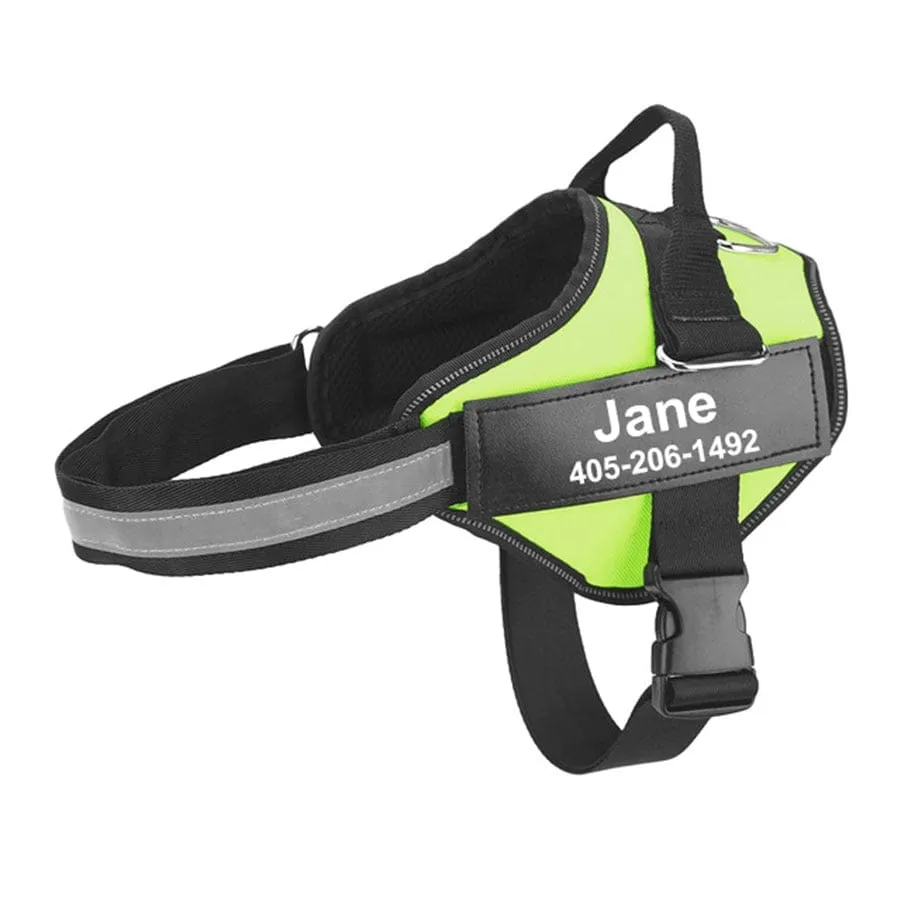 No Pull Personalised Harness