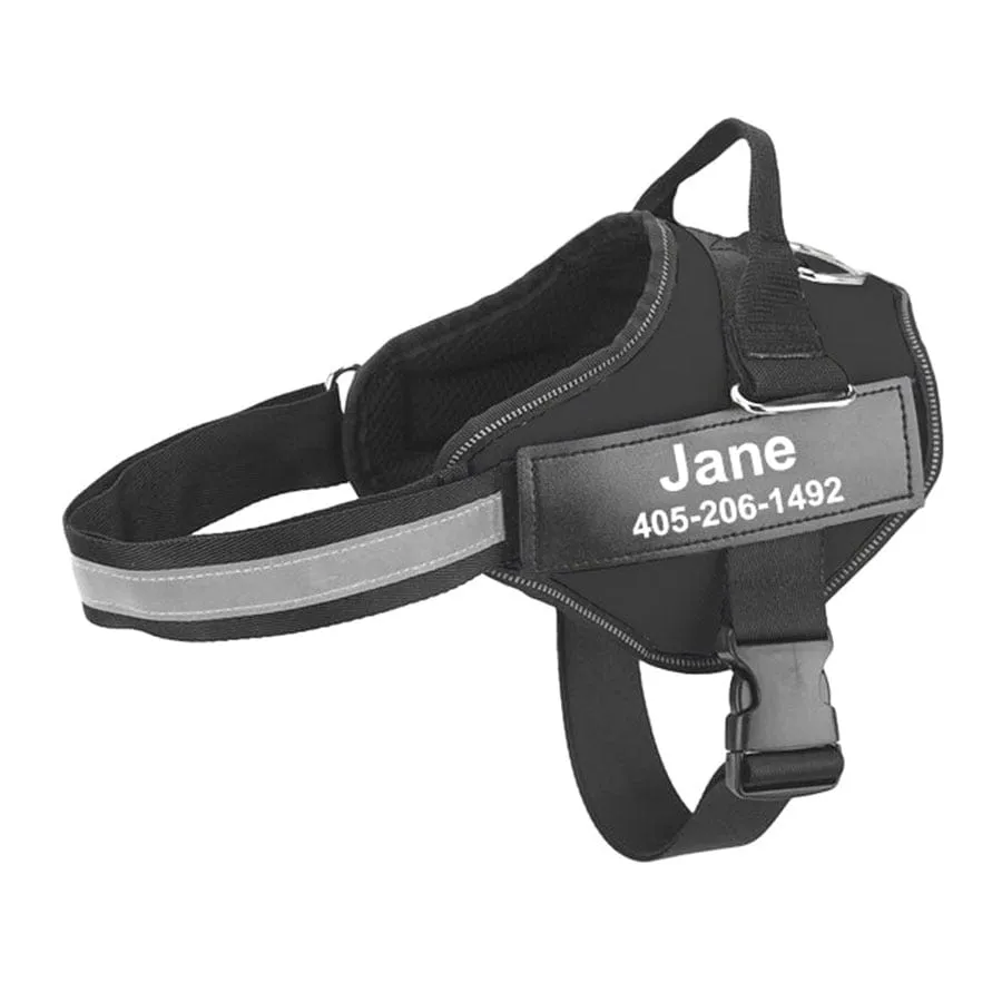No Pull Personalised Harness