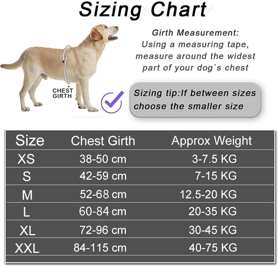 No Pull Personalised Harness