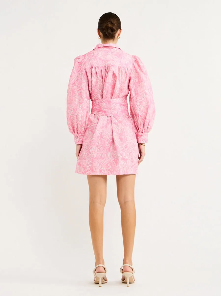Steele Isabella Dress in Pink Paisley