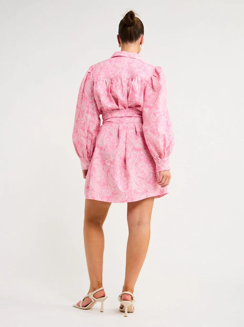 Steele Isabella Dress in Pink Paisley