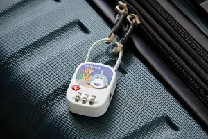 TSA Approved 3Digit Lock with Zinc Alloy Steel Cable,Ideal for Suitcases Luggage Briefcases Computer Bags Schoolbags Backpacks Toolkit Cabinets and Gym Customized Digital Pattern for Adults and Kids