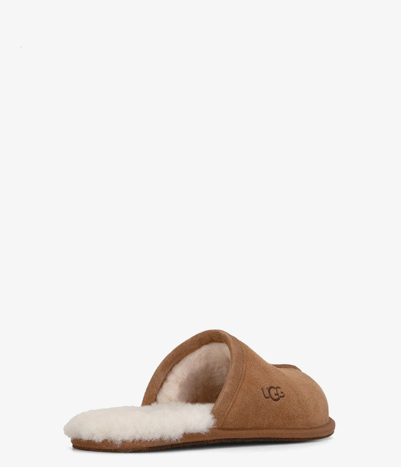 UGG Scuff Slipper - Men