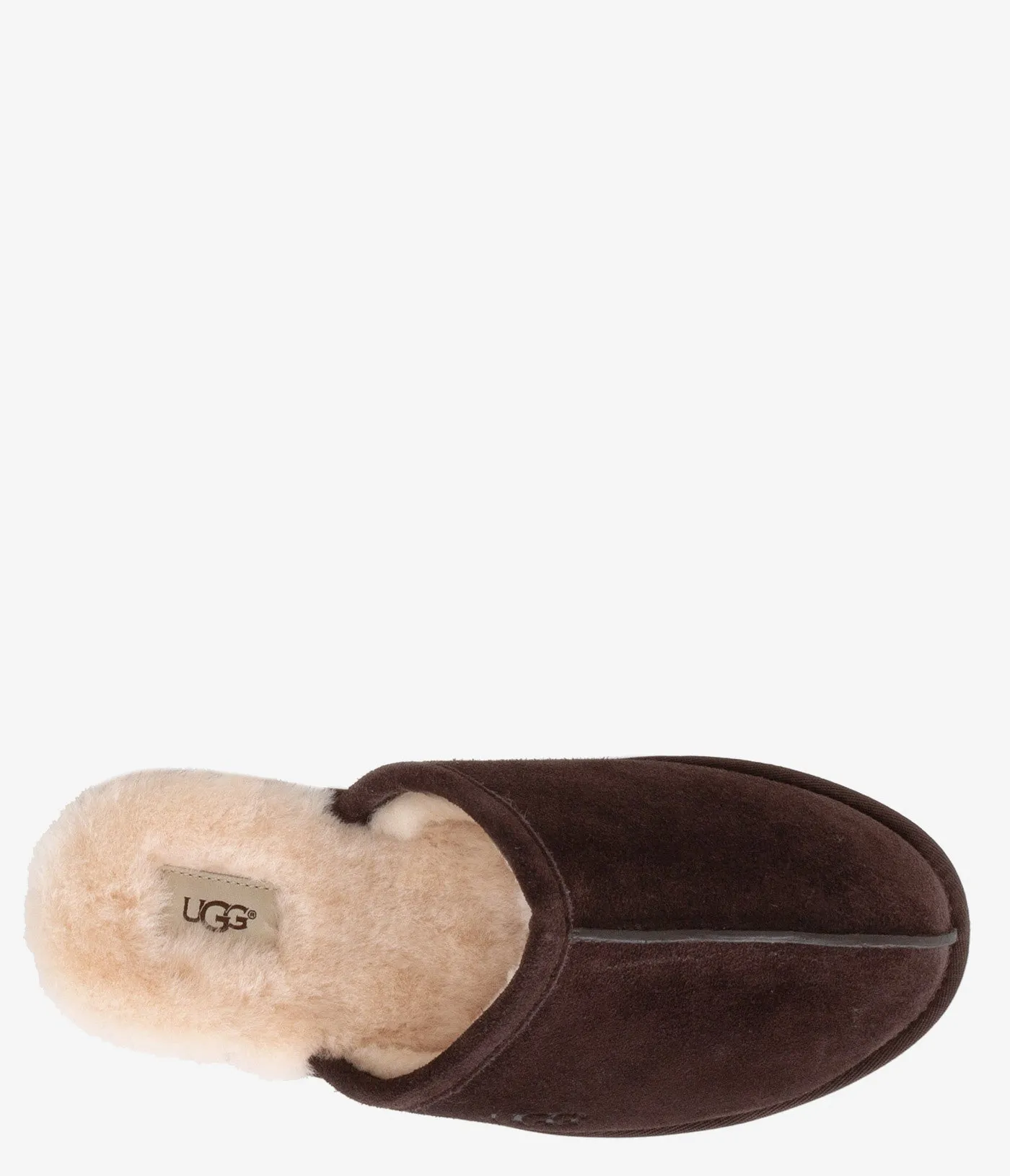 UGG Scuff Slipper - Men