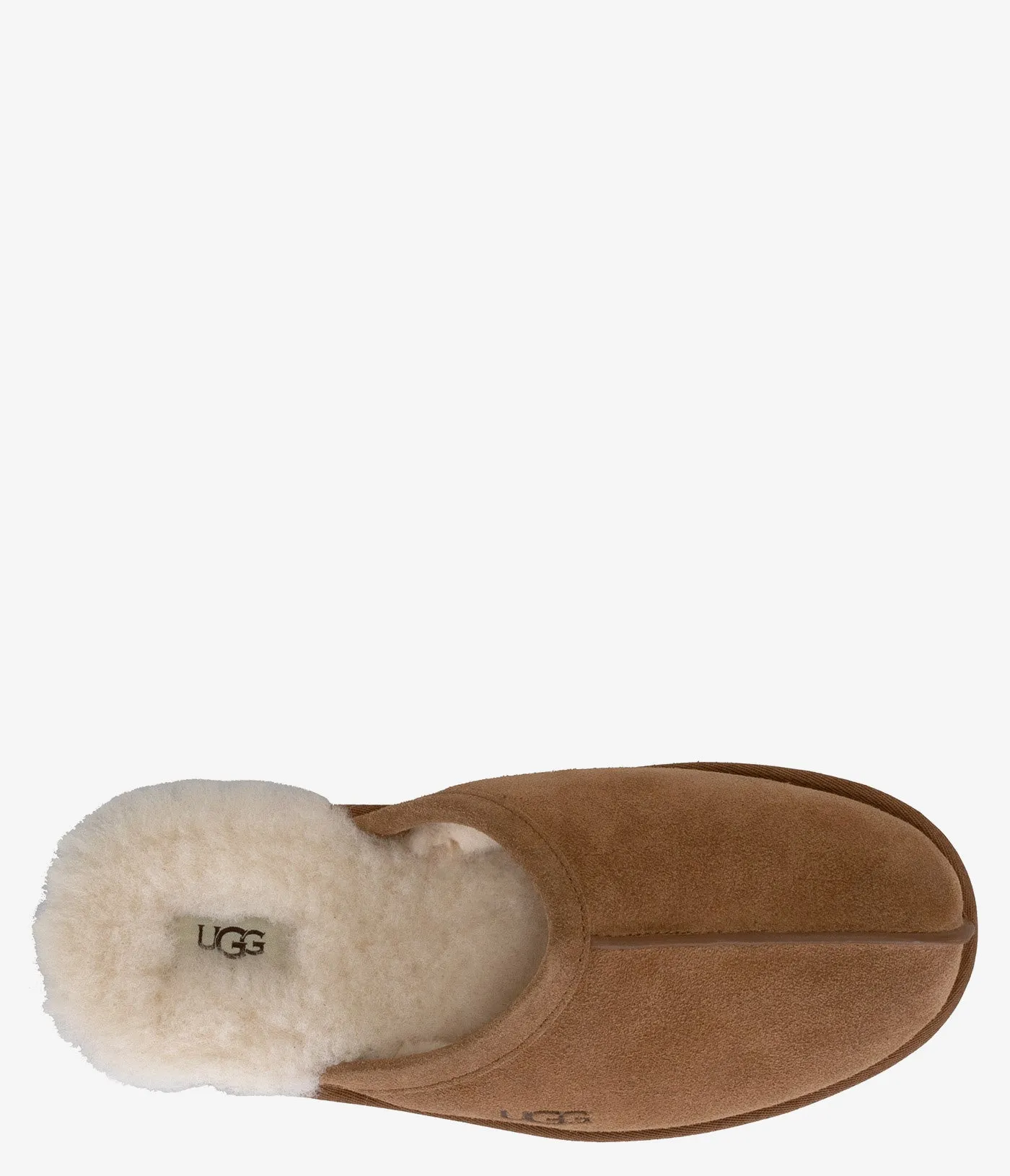 UGG Scuff Slipper - Men