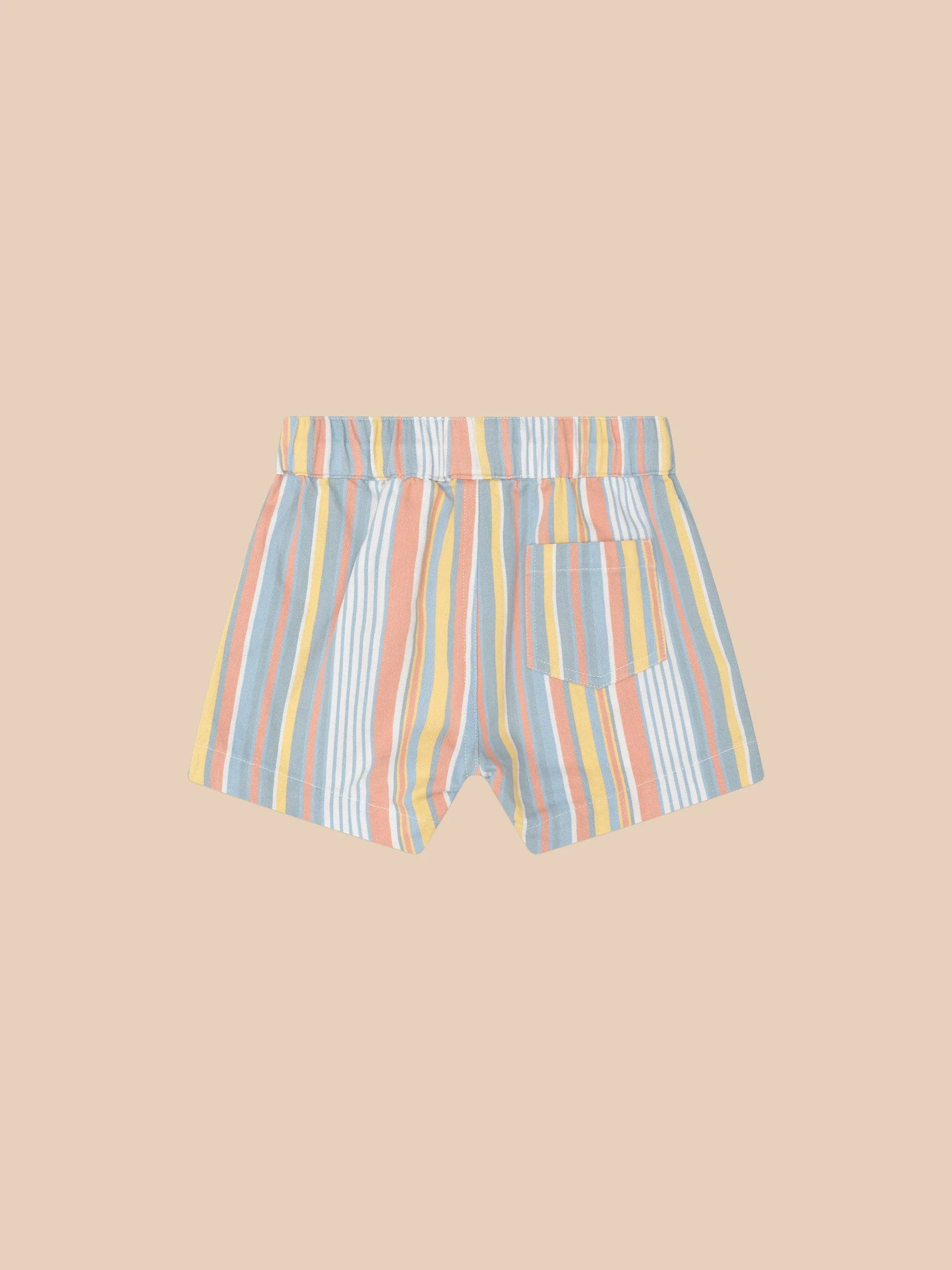Vintage Stripe Chino Short - Multi